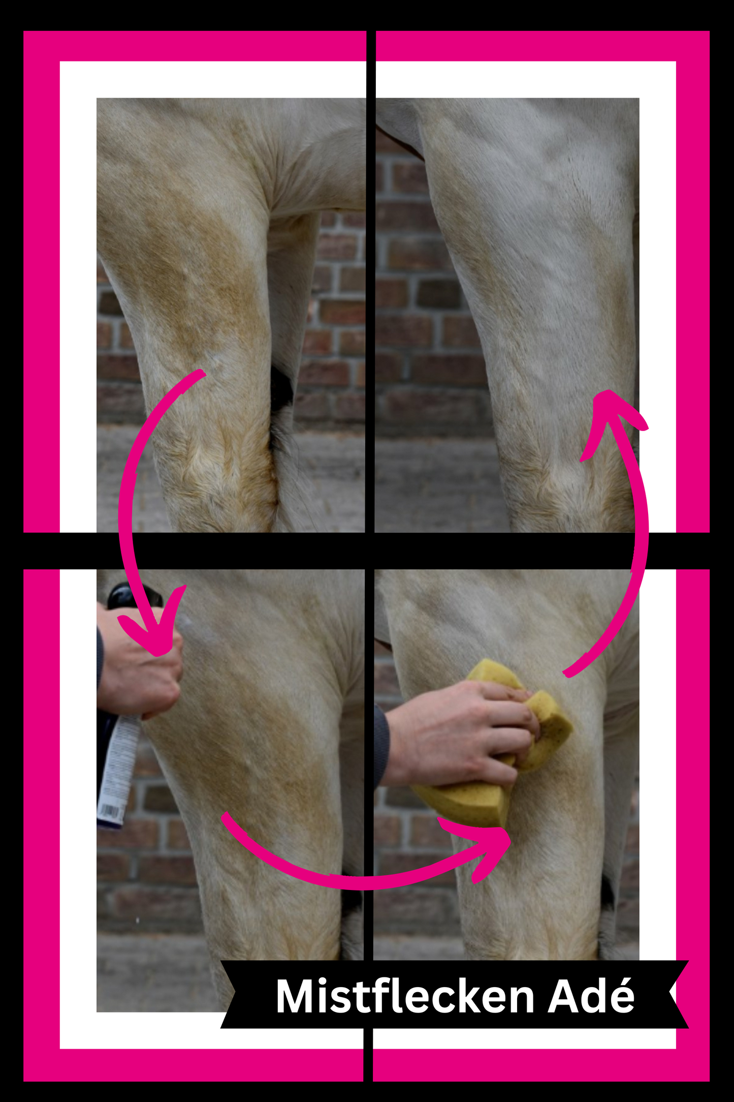 equiXTREME Stain Removing Coat Whitener