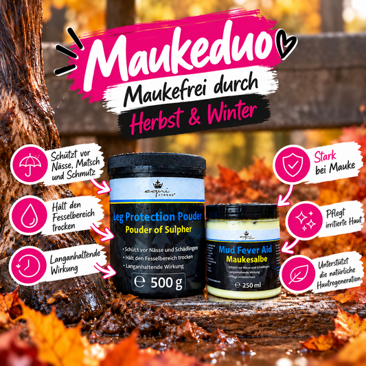 Herbsthelfer - Deine 7 Must-haves für die Matsch-Saison!
