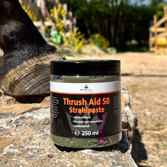 equiXTREME Thrush Aid - Strahlpaste