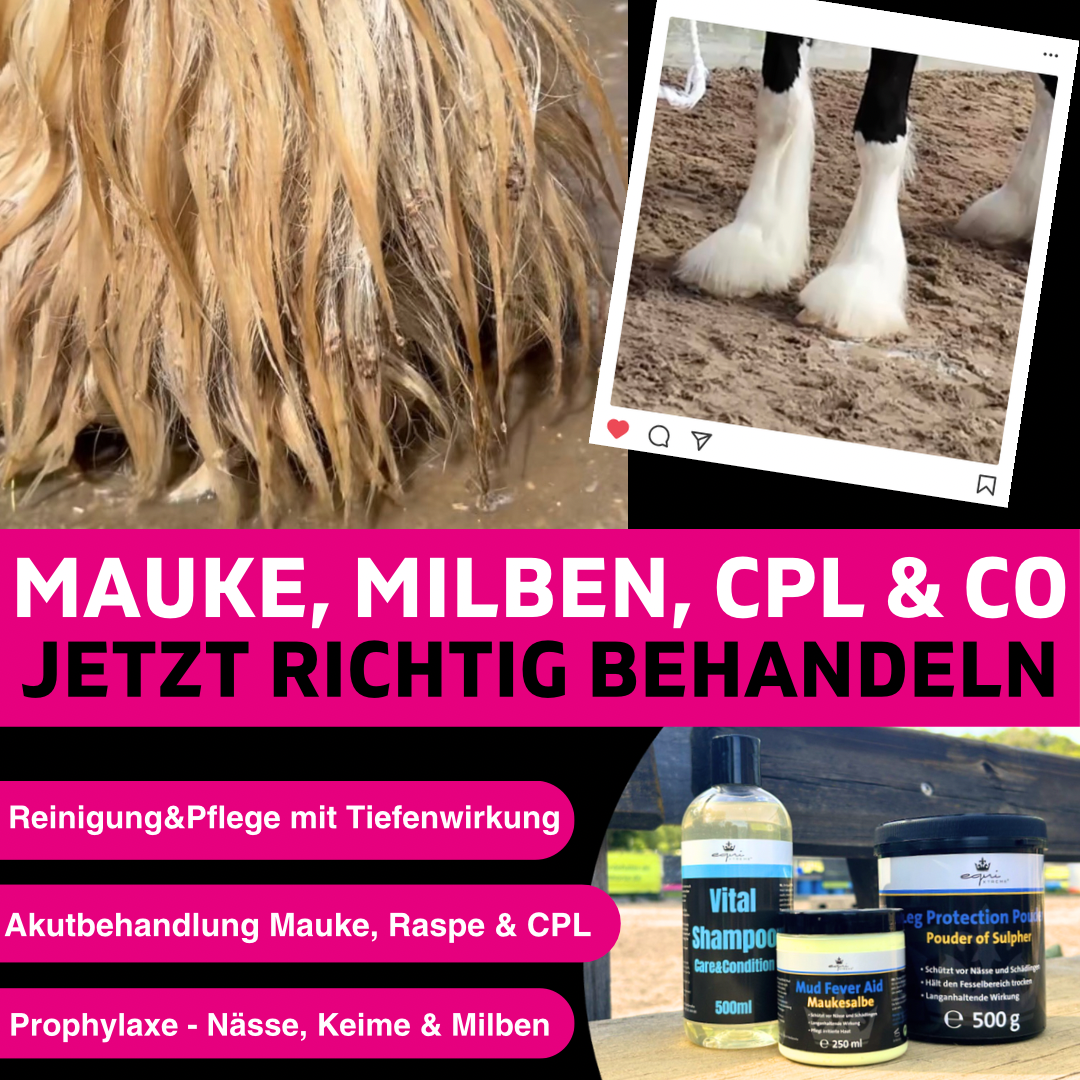 Mauke-Trio – Mauke, Raspe & Co endlich in den Griff bekommen💗