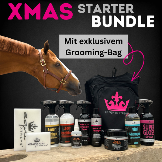 🎄XMAS Starter Bundle - Profipflegeset🎁
