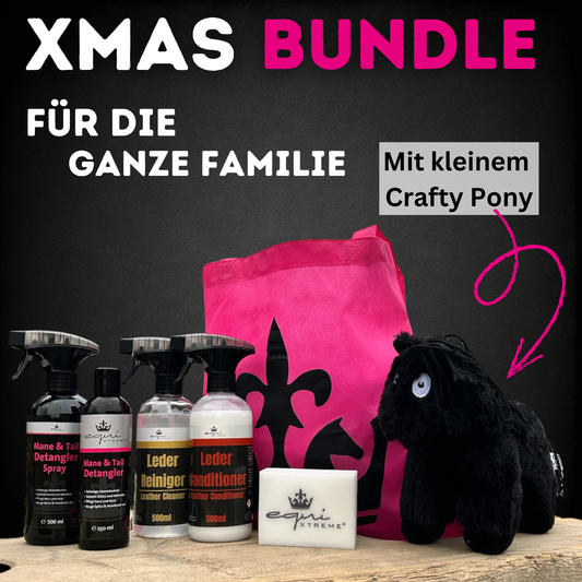 🎄XMAS Family Bundle - SMALL🎁